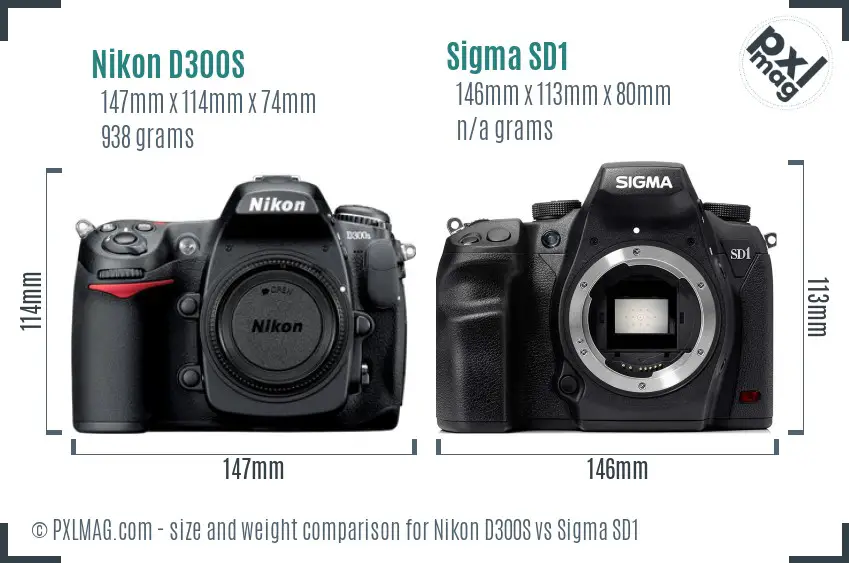 Nikon D300S vs Sigma SD1 size comparison