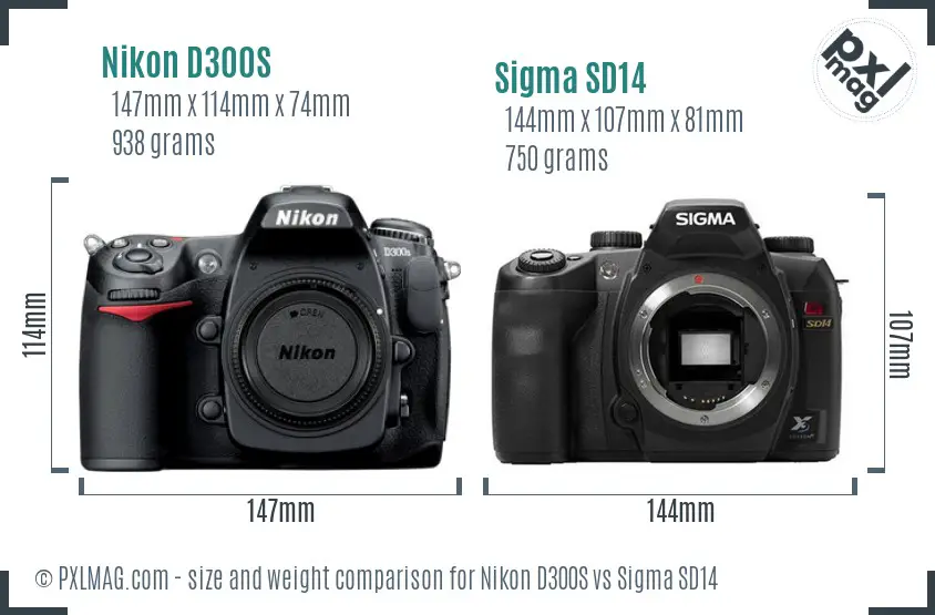 Nikon D300S vs Sigma SD14 size comparison