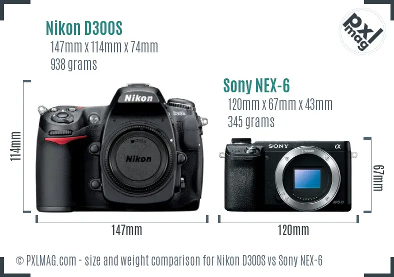 Nikon D300S vs Sony NEX-6 size comparison