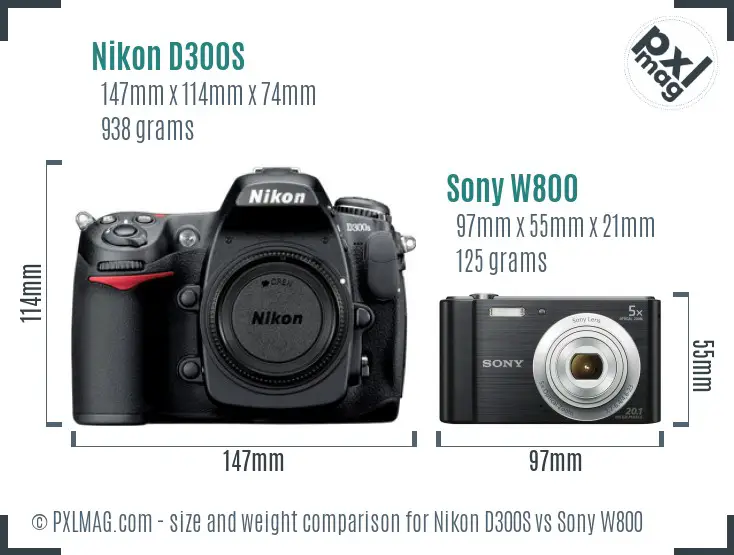 Nikon D300S vs Sony W800 size comparison