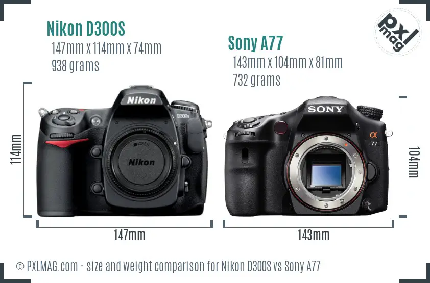Nikon D300S vs Sony A77 size comparison