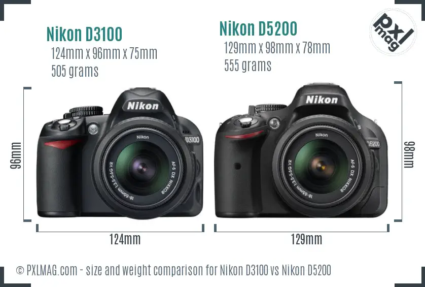 Nikon D3100 vs Nikon D5200 size comparison