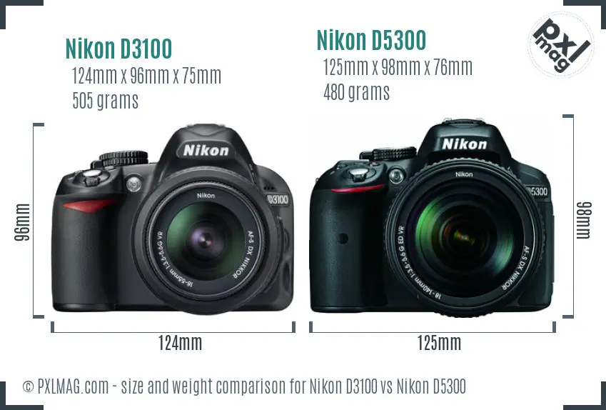 Nikon D3100 vs Nikon D5300 size comparison