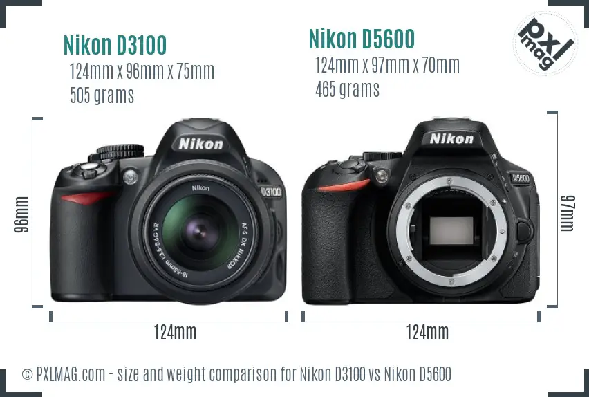 Nikon D3100 vs Nikon D5600 size comparison