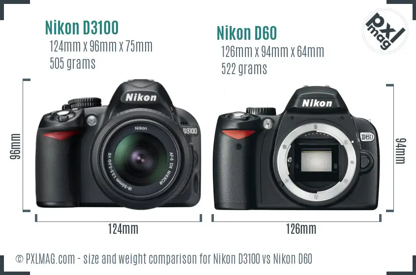 Nikon D3100 vs Nikon D60 size comparison