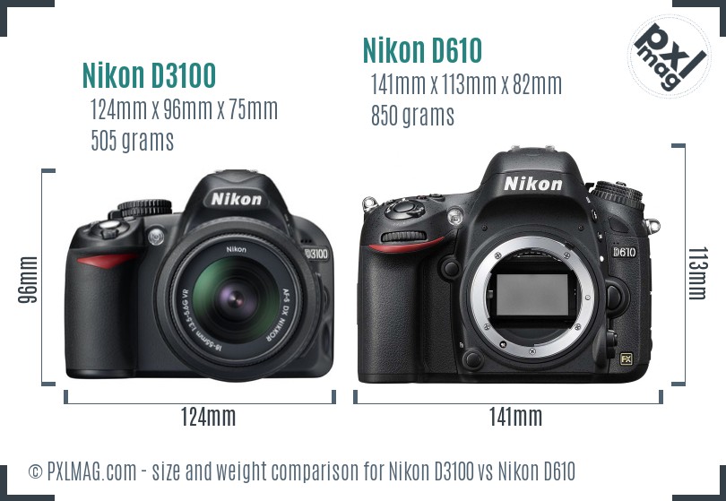 Nikon D3100 vs Nikon D610 size comparison