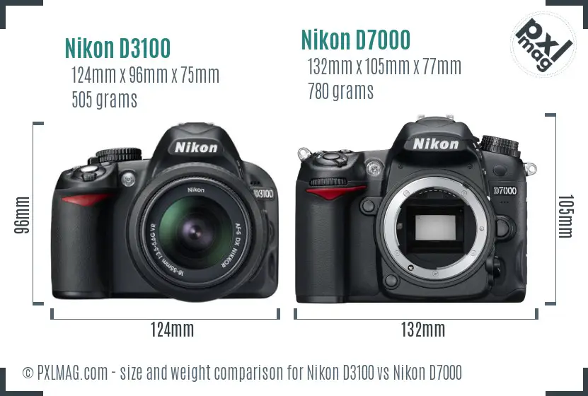 Nikon D3100 vs Nikon D7000 size comparison Nikon D3100 vs Nikon D7000 size comparison