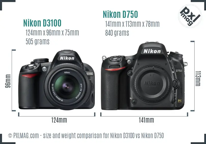 Nikon D3100 vs Nikon D750 size comparison Nikon D3100 vs Nikon D750 size comparison