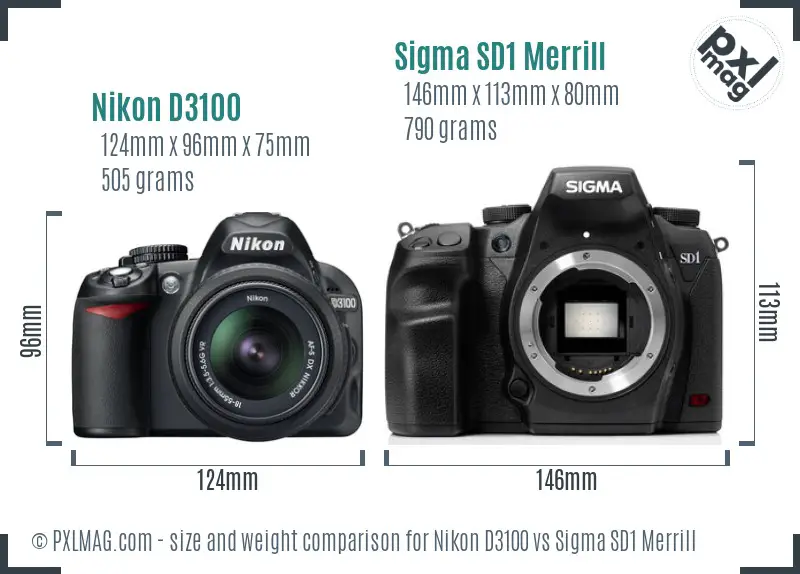 Nikon D3100 vs Sigma SD1 Merrill size comparison