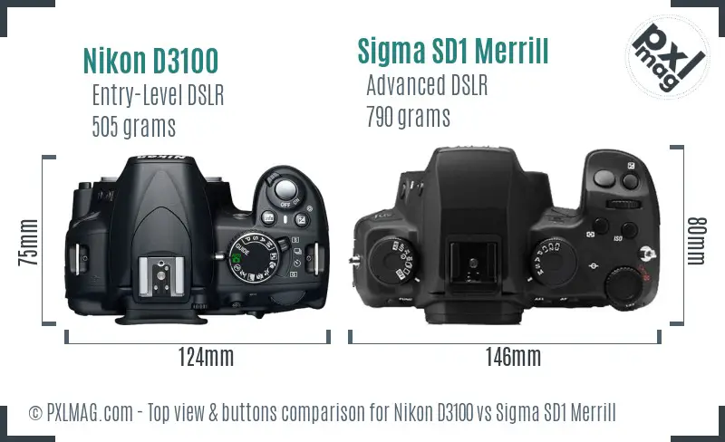 Nikon D3100 vs Sigma SD1 Merrill top view buttons comparison