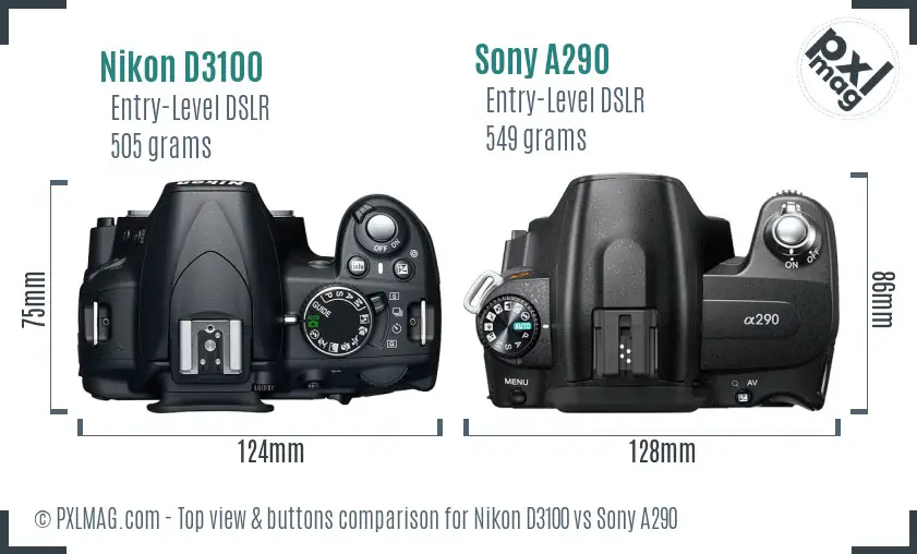 Nikon D3100 vs Sony A290 top view buttons comparison