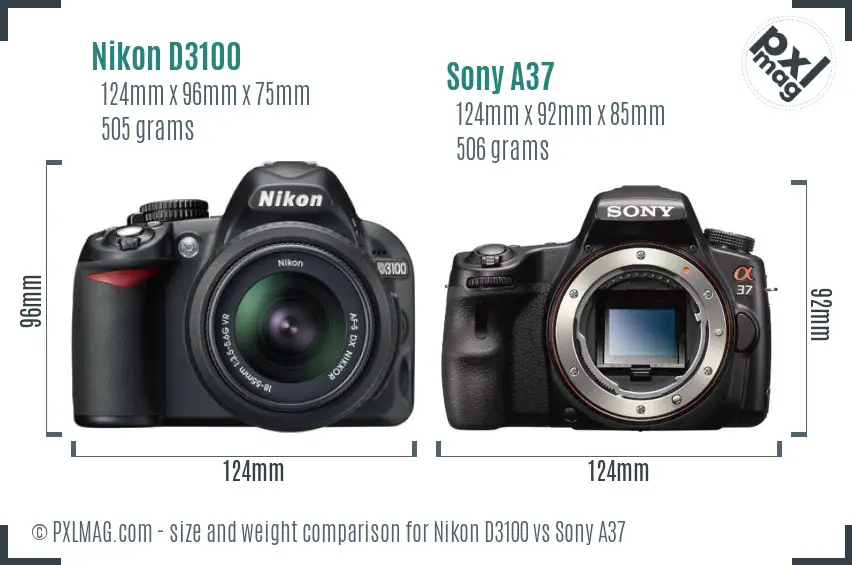 Nikon D3100 vs Sony A37 size comparison