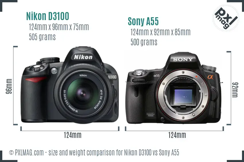 Nikon D3100 vs Sony A55 size comparison