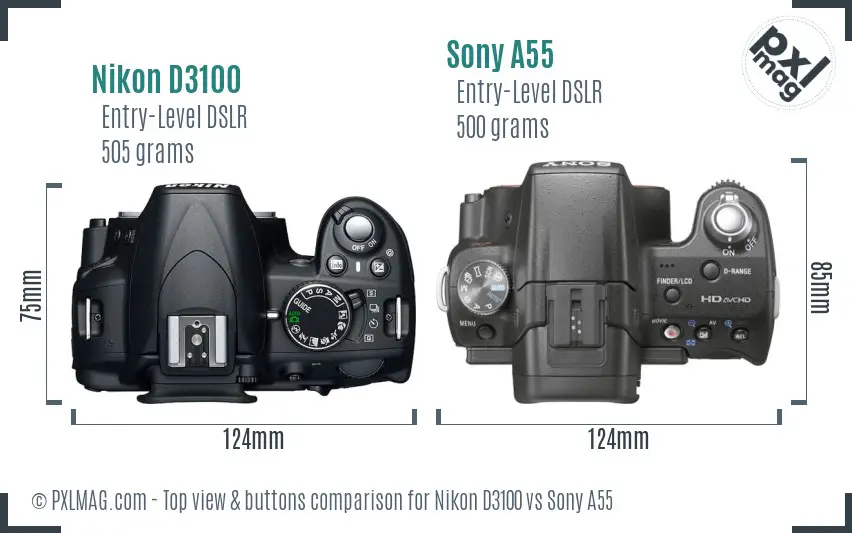 Nikon D3100 vs Sony A55 top view buttons comparison