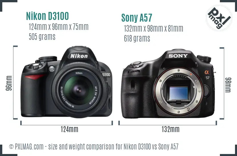 Nikon D3100 vs Sony A57 size comparison