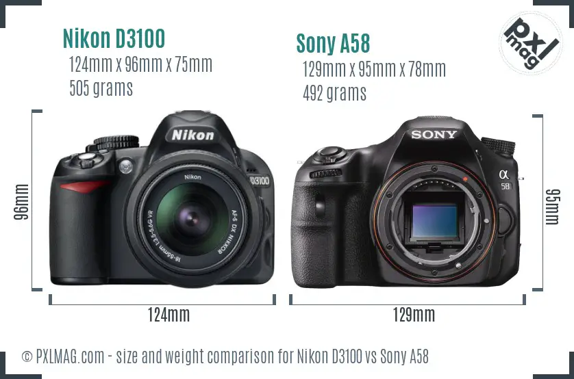 Nikon D3100 vs Sony A58 size comparison