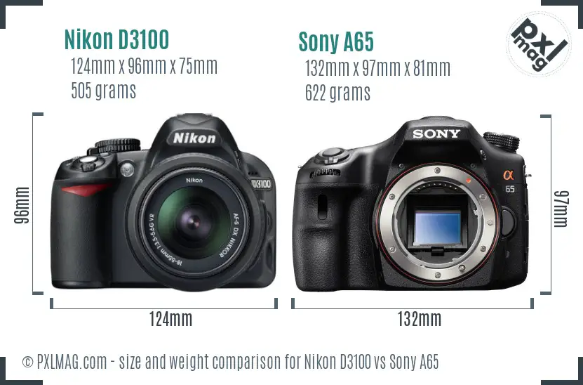Nikon D3100 vs Sony A65 size comparison