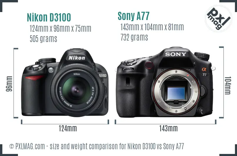 Nikon D3100 vs Sony A77 size comparison Nikon D3100 vs Sony A77 size comparison