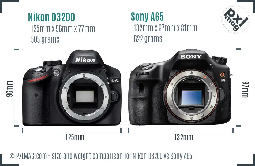 Nikon D3200 vs Sony A65 size comparison