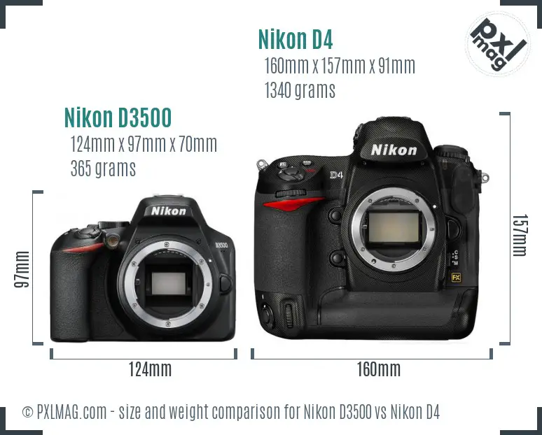 Nikon D3500 vs Nikon D4 size comparison