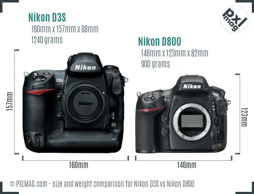Nikon D3S vs Nikon D800 size comparison Nikon D3S vs Nikon D800 size comparison
