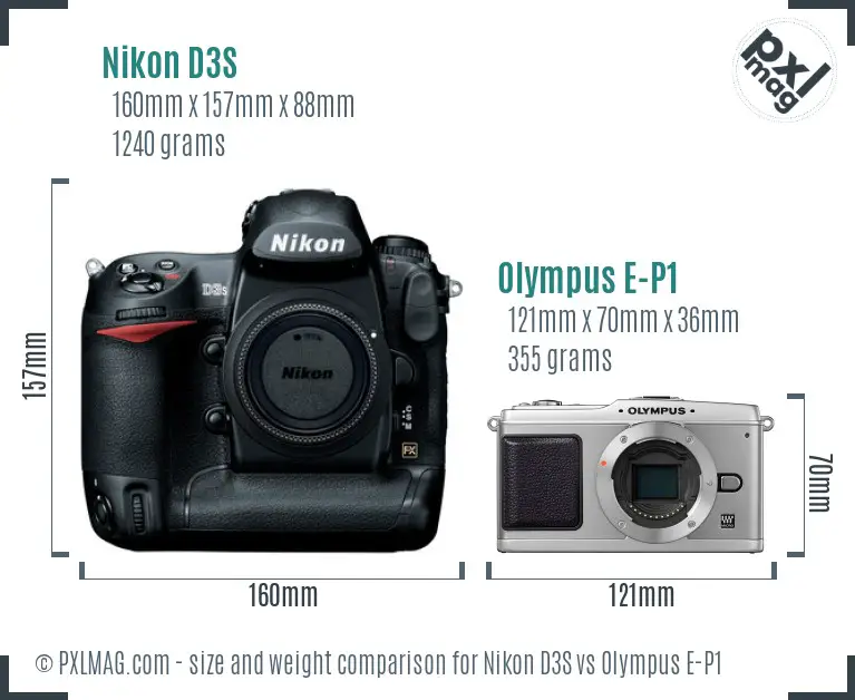 Nikon D3S vs Olympus E-P1 size comparison
