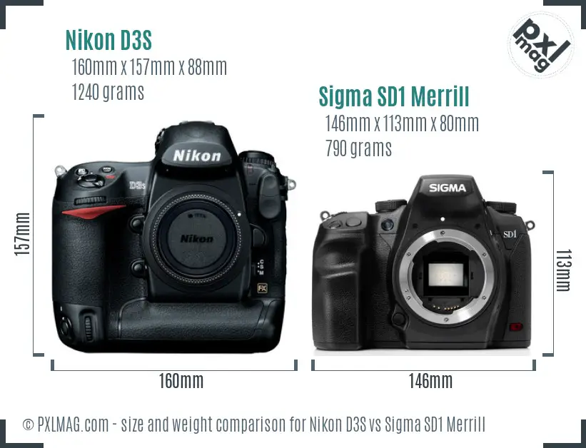Nikon D3S vs Sigma SD1 Merrill size comparison