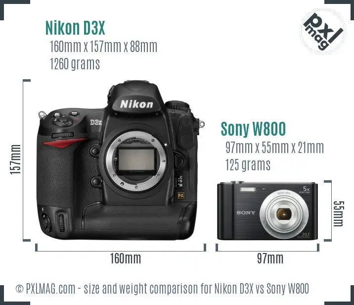 Nikon D3X vs Sony W800 size comparison