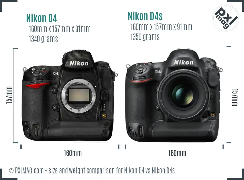 Nikon D4 vs Nikon D4s size comparison
