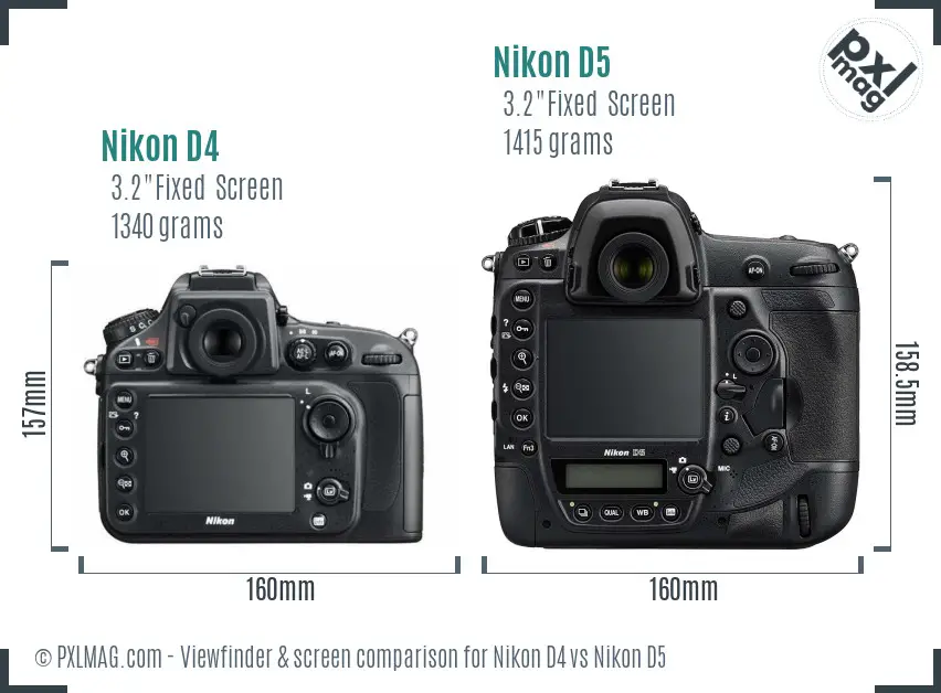 Nikon D4 vs Nikon D5 Screen and Viewfinder comparison