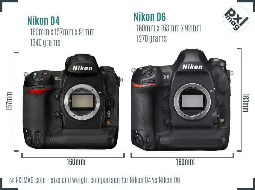 Nikon D4 vs Nikon D6 size comparison