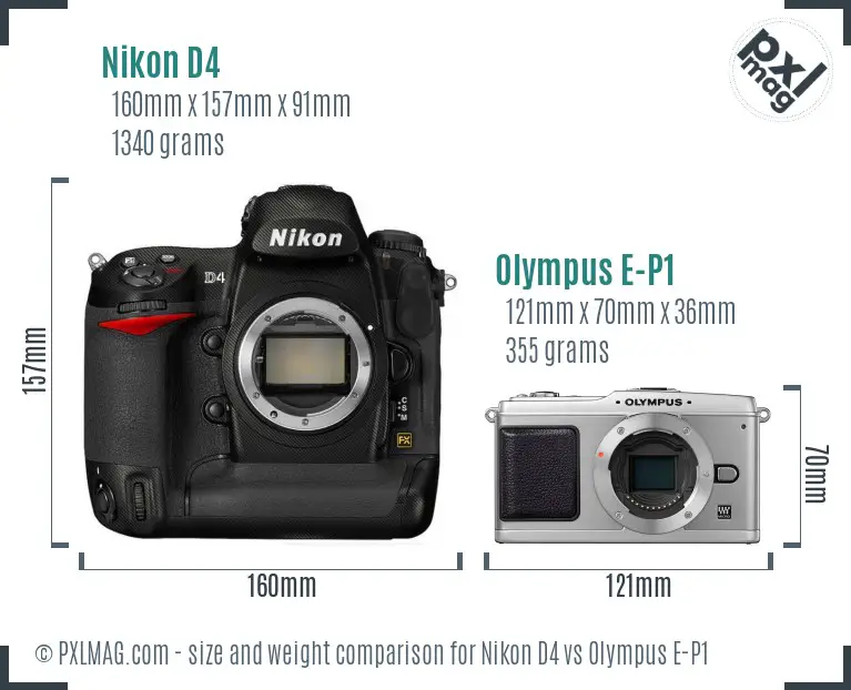 Nikon D4 vs Olympus E-P1 size comparison