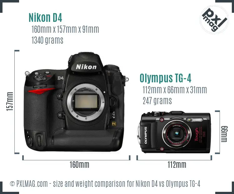 Nikon D4 vs Olympus TG-4 size comparison