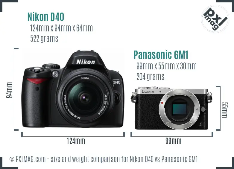 Nikon D40 vs Panasonic GM1 size comparison