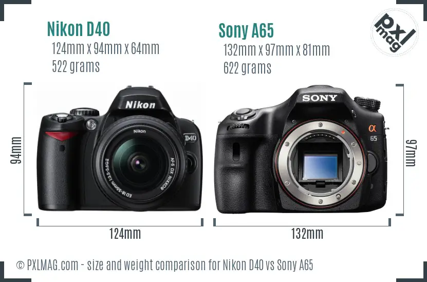 Nikon D40 vs Sony A65 size comparison