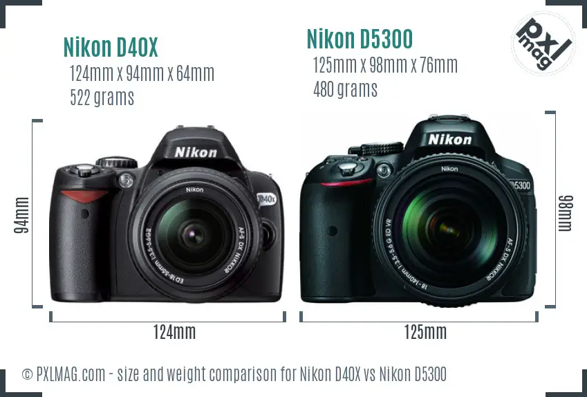 Nikon D40X vs Nikon D5300 size comparison