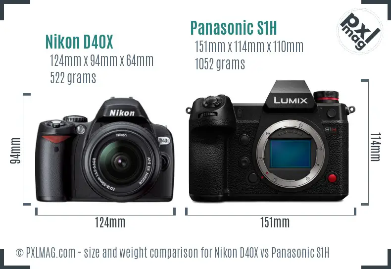Nikon D40X vs Panasonic S1H size comparison