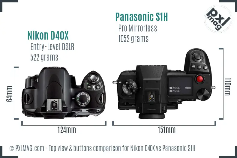 Nikon D40X vs Panasonic S1H top view buttons comparison