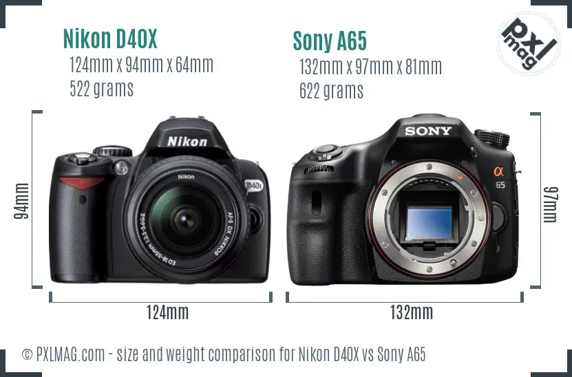 Nikon D40X vs Sony A65 size comparison