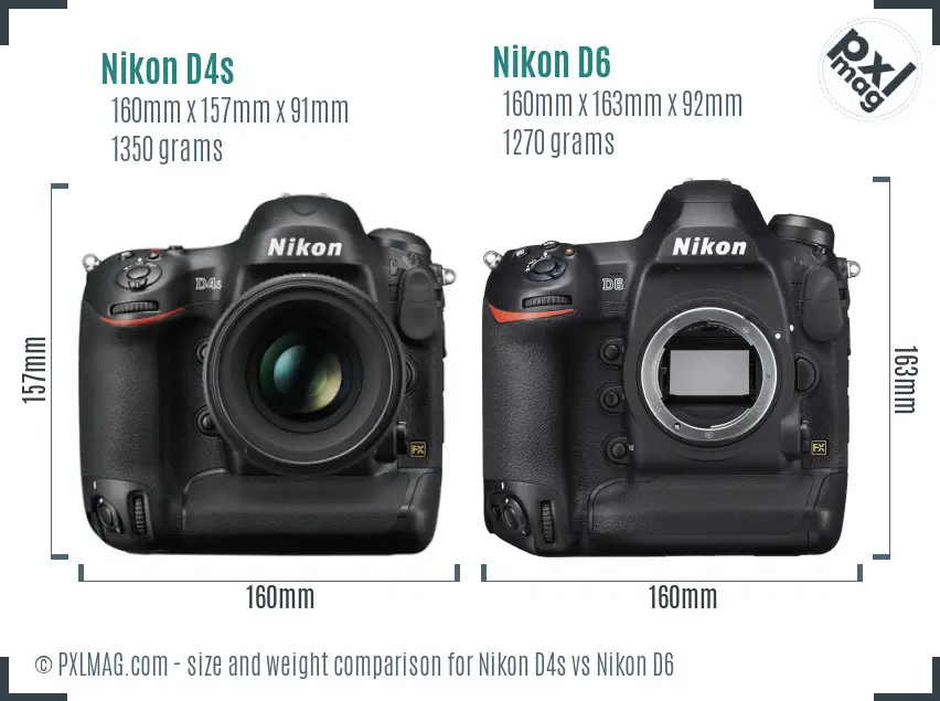 Nikon D4s vs Nikon D6 size comparison