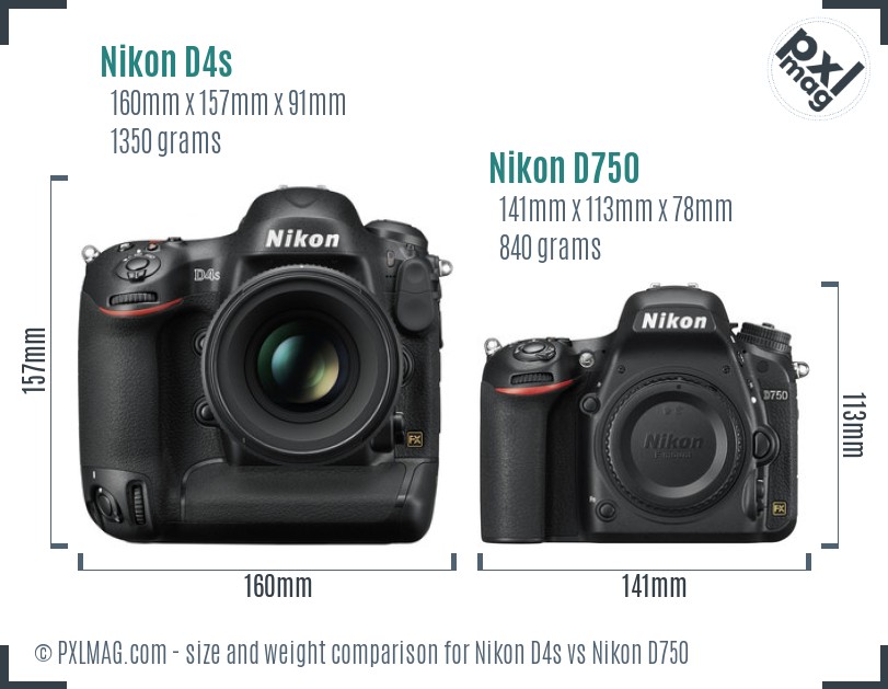 Nikon D4s vs Nikon D750 size comparison