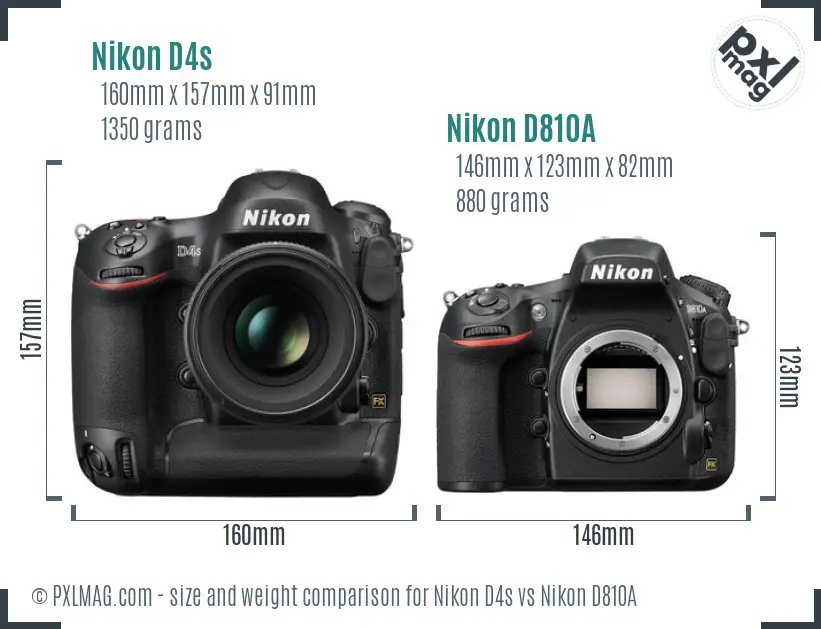 Nikon D4s vs Nikon D810A size comparison