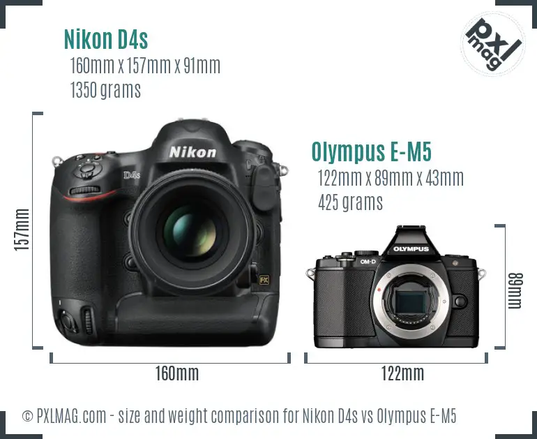 Nikon D4s vs Olympus E-M5 size comparison