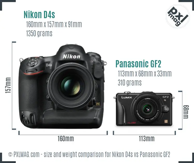 Nikon D4s vs Panasonic GF2 size comparison