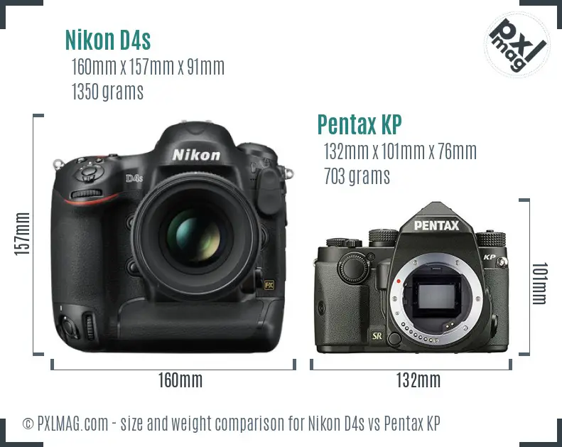 Nikon D4s vs Pentax KP size comparison