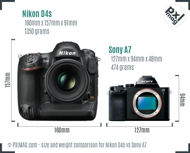 Nikon D4s vs Sony A7 size comparison