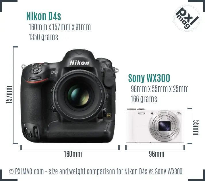 Nikon D4s vs Sony WX300 size comparison