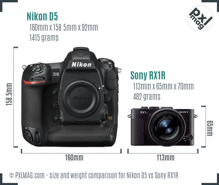 Nikon D5 vs Sony RX1R size comparison