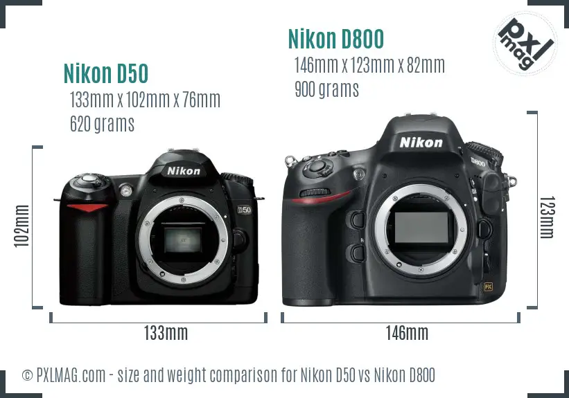 Nikon D50 vs Nikon D800 size comparison