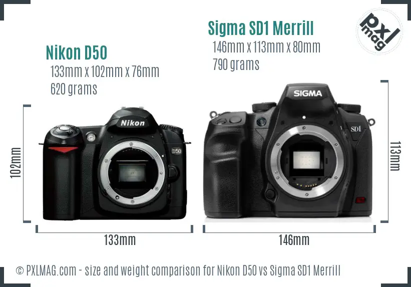 Nikon D50 vs Sigma SD1 Merrill size comparison